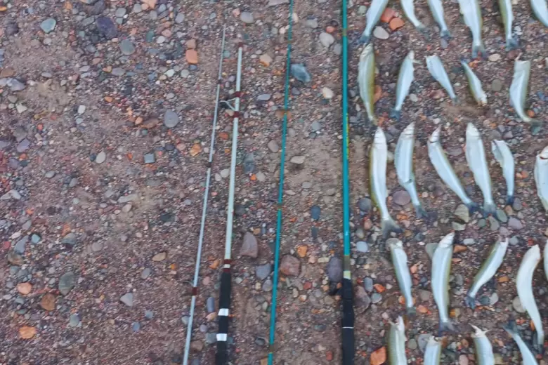 Pesca ilegal en Valle de Uco