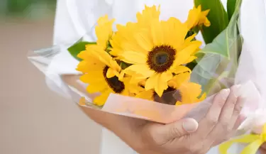 por-que-se-regalan-flores-amarillas-este-21-de-marzo