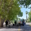 Violento choque en San Rafael: Un motociclista falleci luego de impactar contra un rbol