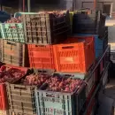 San Rafael: recuperaron 40 cajones de uva robados y detuvieron a dos hombres