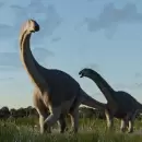 Encontraron un dinosaurio gigante que vivi hace ms de 66 millones de aos en el Sur argentino
