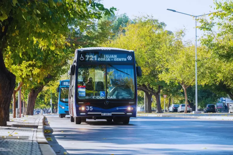Colectivo