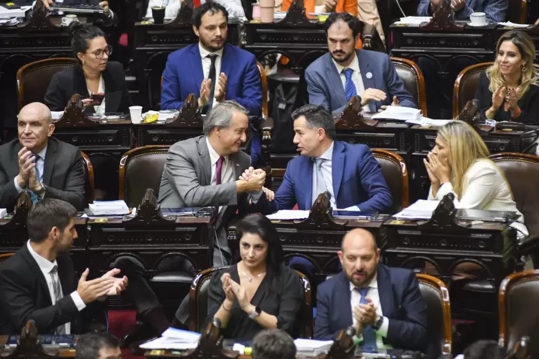 diputados lla 2024
