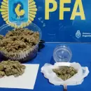 Atraparon a un joven de 26 a�os con marihuana en la Terminal