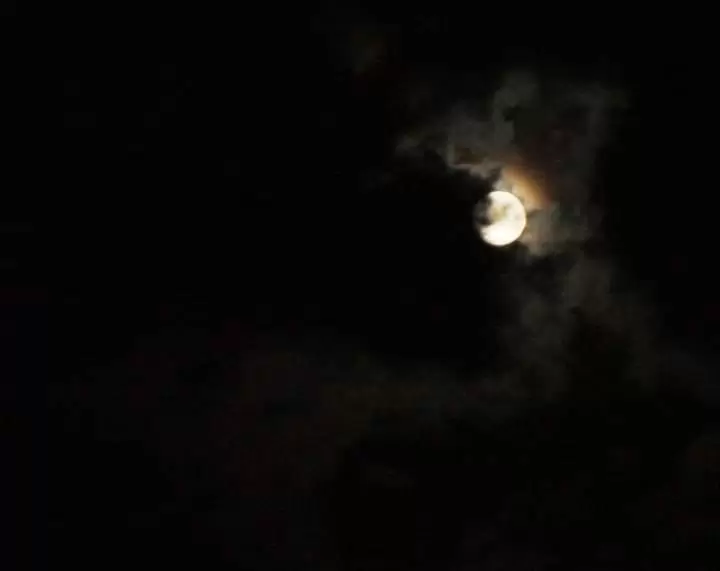 El lungo