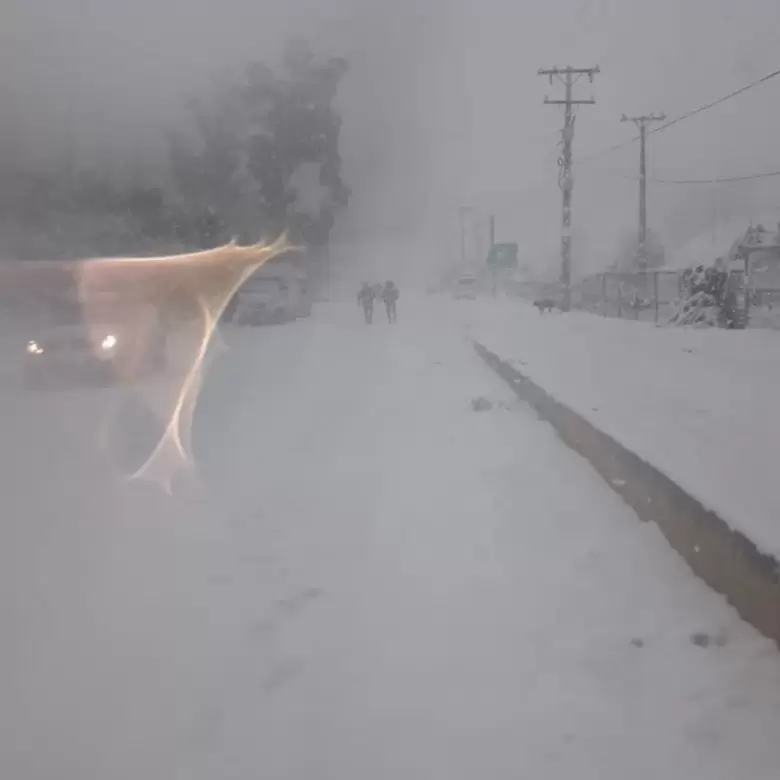 nieve