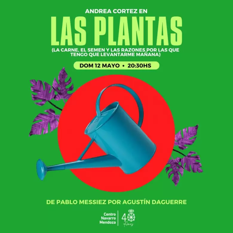 las plantas