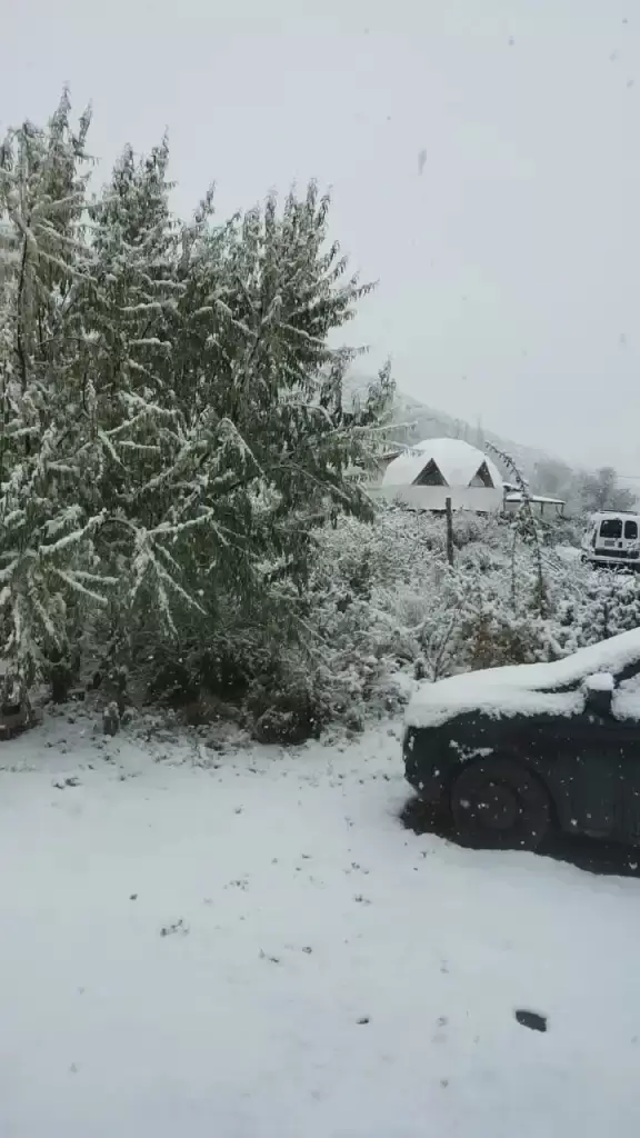 nieve mendoza