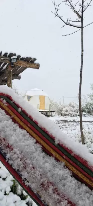nieve mendoza