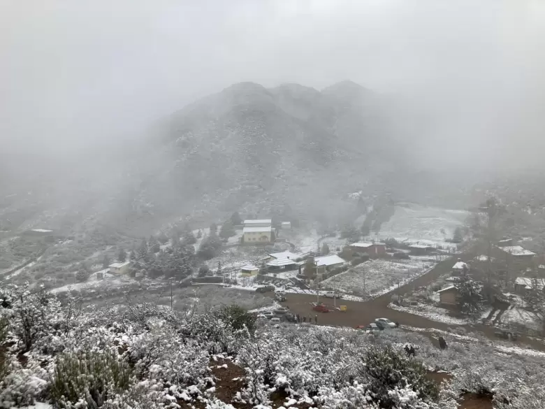 nieve