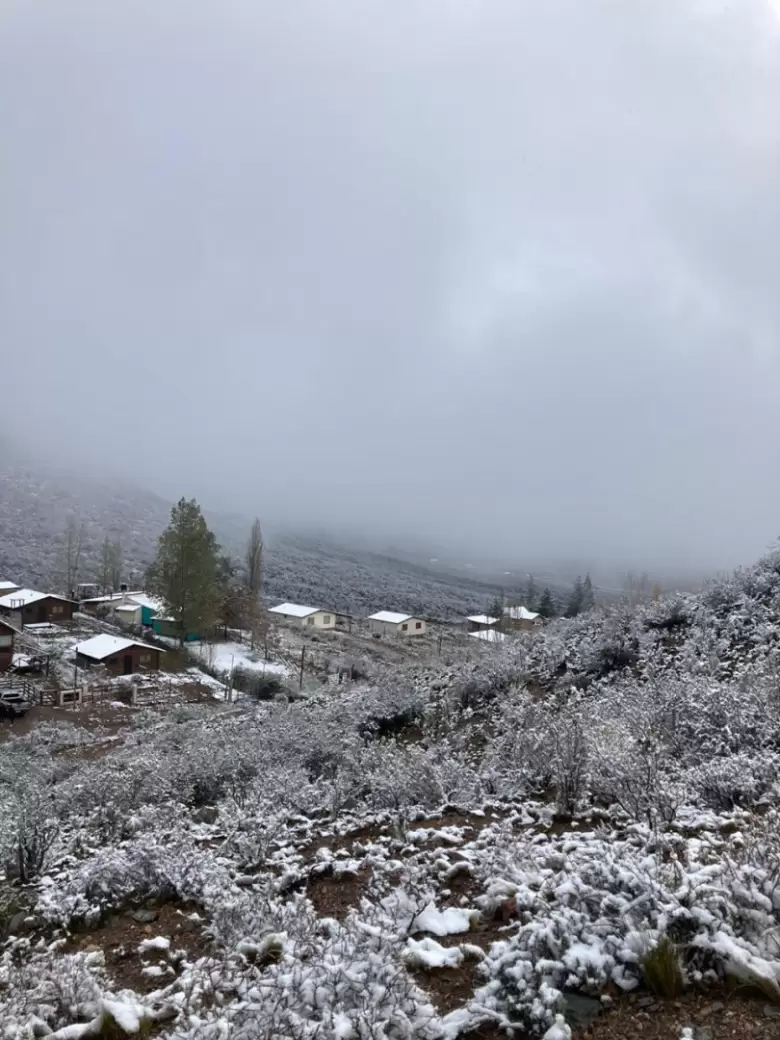 nevadas