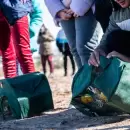 Soltaron aves de distintas especies que fueron rescatadas y volvieron a su hábitat natural
