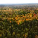 Incre�ble hallazgo en la misteriosa Siberia