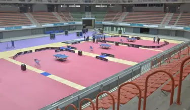 tenis de mesa
