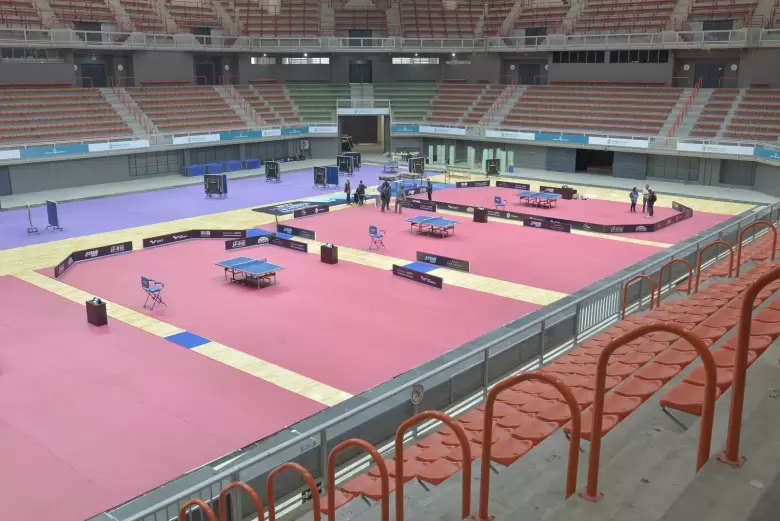 Tenis de mesa internacional
