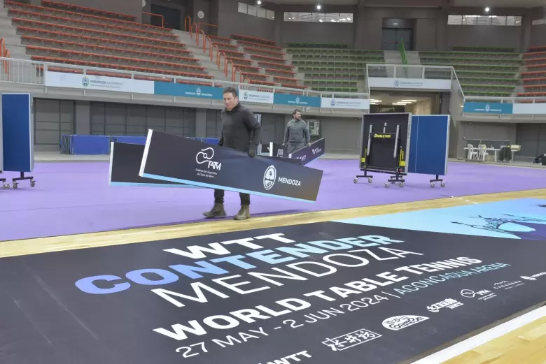 Tenis de mesa internacional