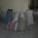 Tras un intenso operativo en Tupungato, recuperaron 200 kilos de nueces robadas