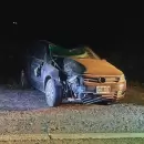 Grave accidente: un auto atropell a un caballo en Ruta 40