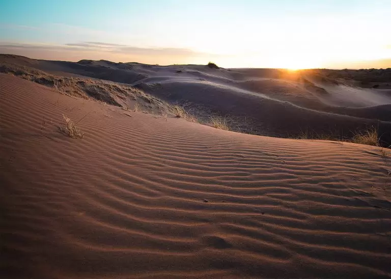 el-despertar-de-los-medano-reserva-telteca-768x548