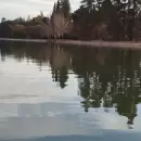Un hombre muri mientras caminaba por el circuito del lago del Parque San Martn