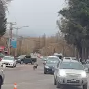 Una mujer se descompensó y murió frente al acampe antiminero en Uspallata