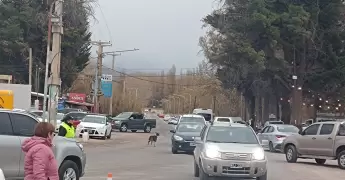 Operativo