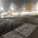 (Video) Mendoza nevada: Cierran rutas y el llano se tie de blanco