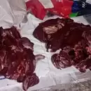 Secuestraron en un control policial de San Carlos casi 40 kilos de carne de guanaco faenada