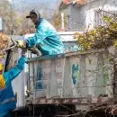 Este es el nuevo cronograma de tareas de arbolado y limpieza en la Ciudad