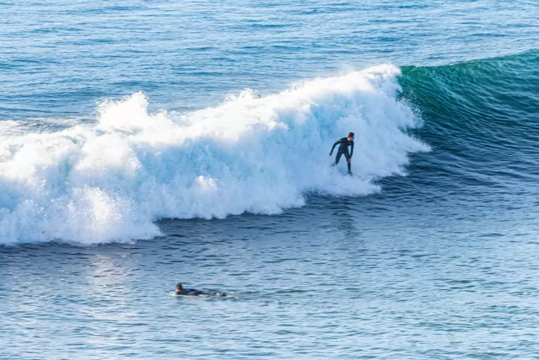 499fe46c-punta-de-lobos-768x513