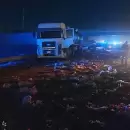 Detuvieron a un camionero alcoholizado: llevaba 1.55 gramos de alcohol en sangre en San Mart�n