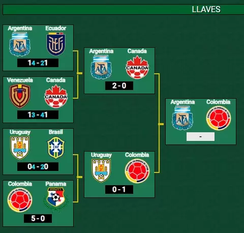 copa america final