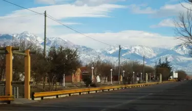 la consulta