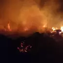 Un feroz incendio afect� varias hect�reas de campos incultos en Guaymall�n