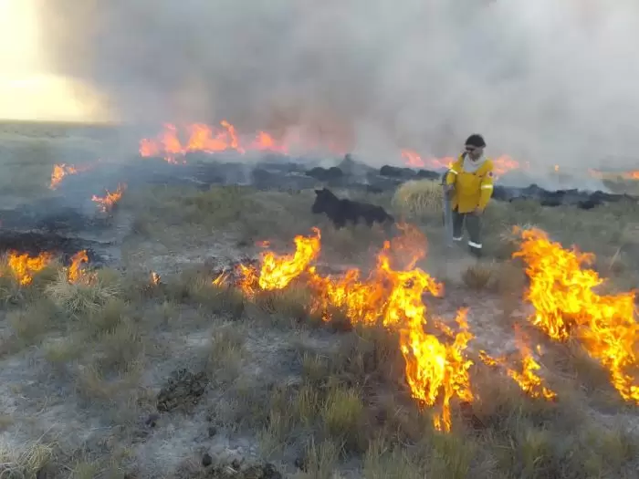 incendio san rafael