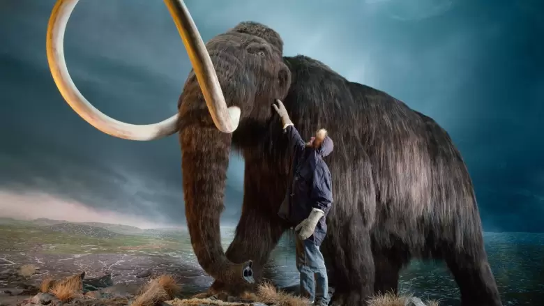 wooly-mammoth-nationalgeographic_122644