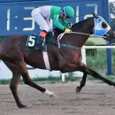 Se viene este jueves una nueva edición del clásico Santo Patrono Santiago en el Hipódromo