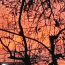 Un atardecer de ensue�o: el cielo mendocino se pinta de naranja