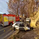 Conductor embistió un árbol en el carril Mathus Hoyos y se salvó de milagro