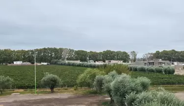 Im�genes tiempo Mendoza