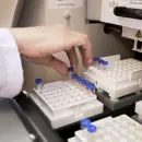 Alerta sanitaria: ANMAT proh�be el ajo en polvo "Saz�n Korr" por riesgo para la salud