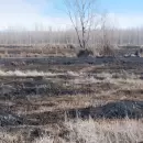 La Justicia confirm� que el cuerpo encontrado en el Valle de Uco es el de "Nori"