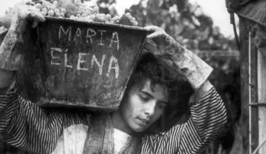 maximo arias 2