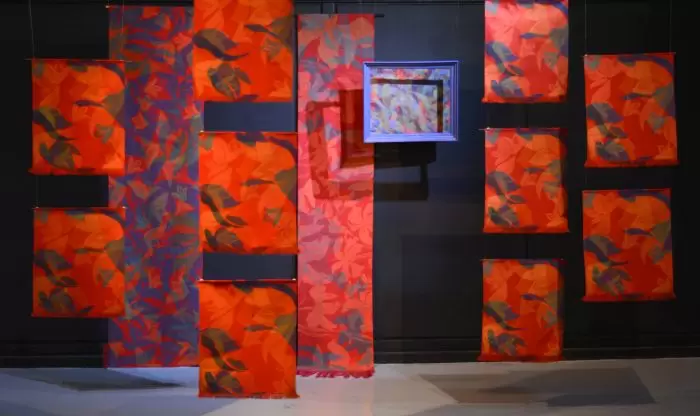 MUSEO CARLOS ALONSO MUESTRA