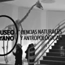 Jornada de Biolog�a Evolutiva, en el Museo Juan Cornelio Moyano