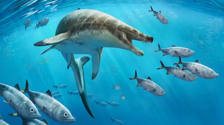 descubren-en-mina-de-marruecos-un-monstruo-marino-de-la-epoca-de-los-dinosaurios