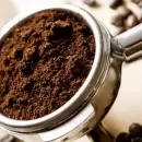 Descubre el ingrediente �nico que te ayudar� a explotar de frutos tus �rboles c�tricos del jard�n