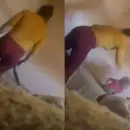 Condenaron y liberaron a la mujer que insult� y golpe� a su hija de 4 a�os en San Mart�n