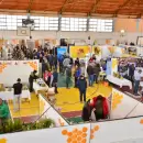 Atenci�n interesados: Se viene una nueva edici�n de la Expo Ap�cola en Lavalle