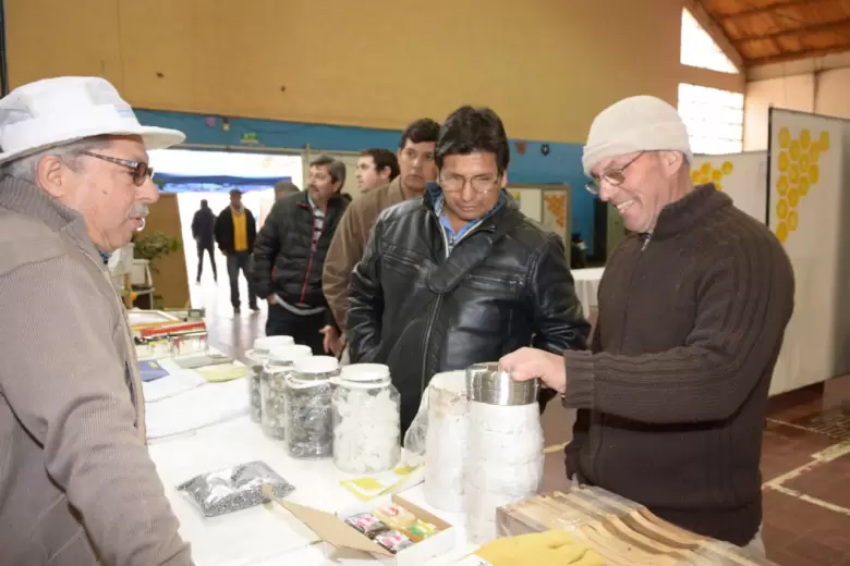 lavalle